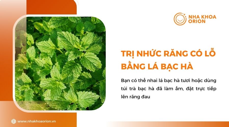 Cách trị nhức răng có lỗ bằng lá bạc hà