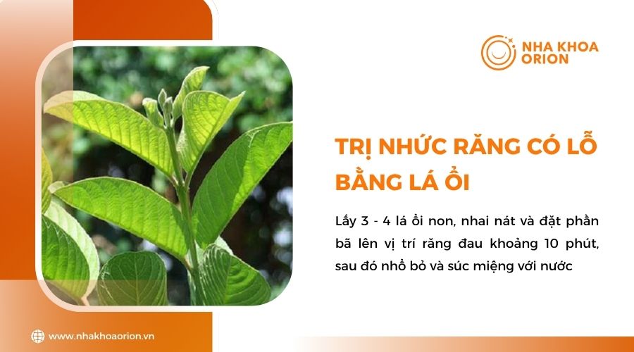 Mẹo trị nhức răng bằng lá ổi