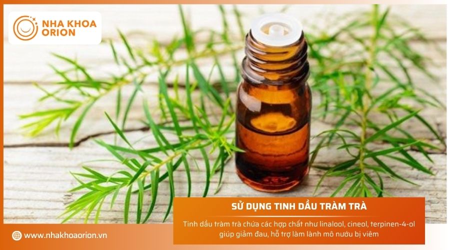 Sử dụng tinh dầu tràm trà để chữa viêm lợi tại nhà