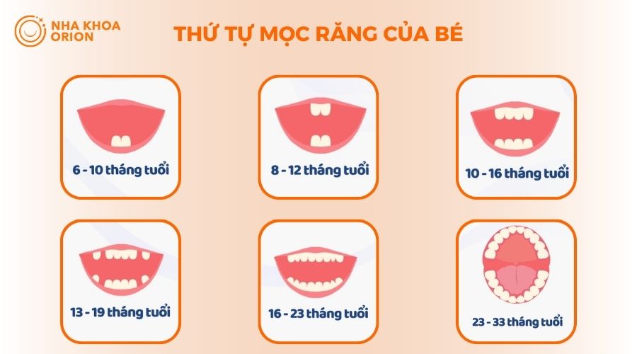 Thứ tự mọc răng sữa từ 0 - 33 tháng tuổi