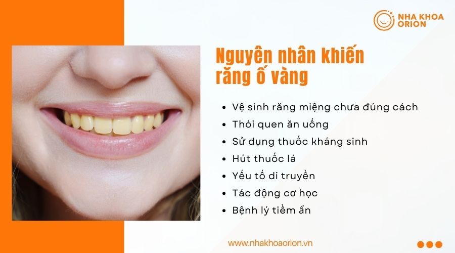 Nguy&ecirc;n nh&acirc;n khiến răng ố v&agrave;ng