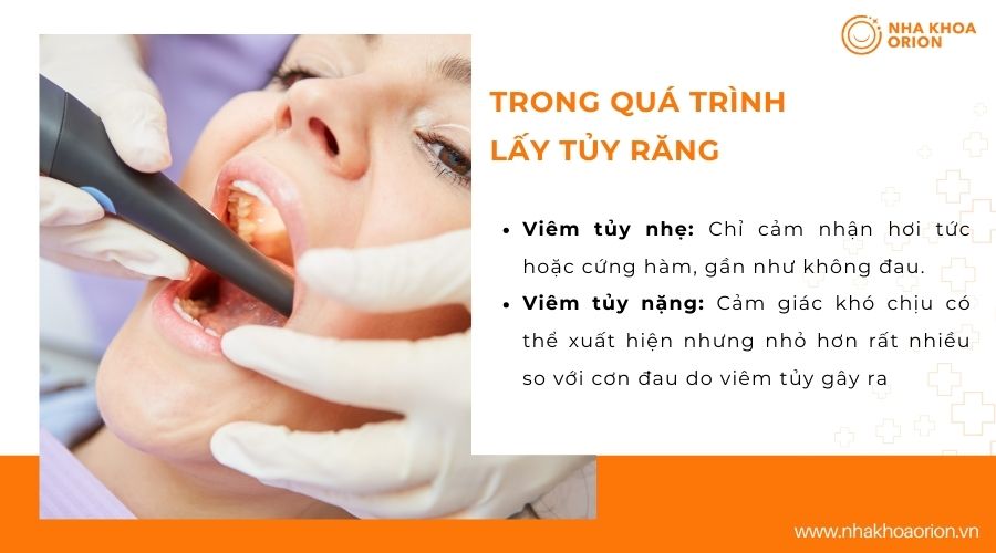 Đau nhức trong qu&aacute; tr&igrave;nh lấy tủy răng