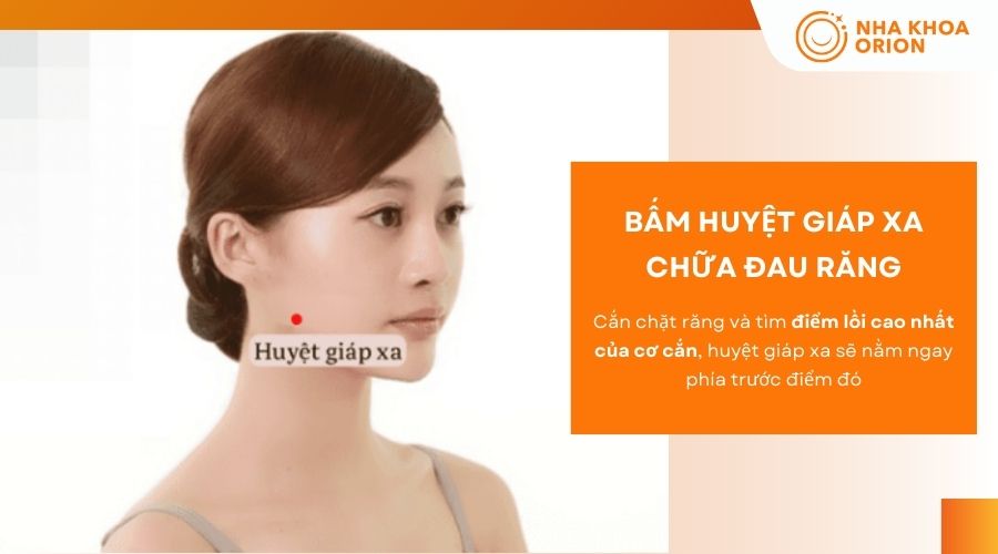 Bấm huyệt Gi&aacute;p Xa chữa đau răng