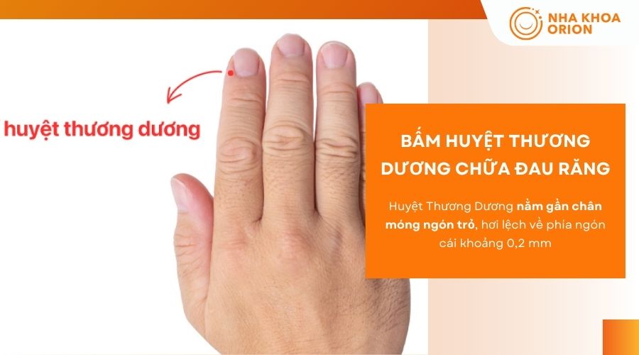 Bấm huyệt Thương Dương chữa đau răng