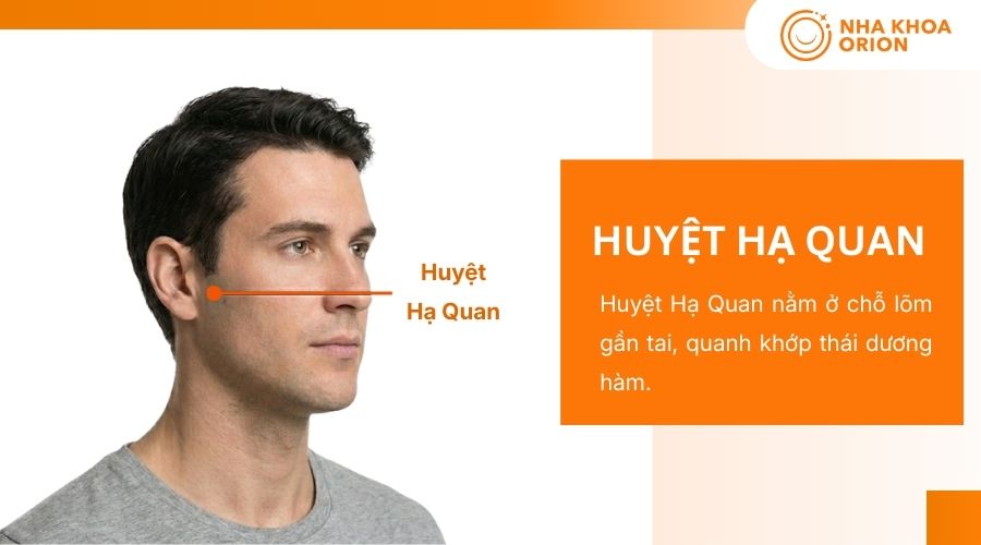 C&aacute;ch bấm huyệt Hạ Quan chữa đau răng