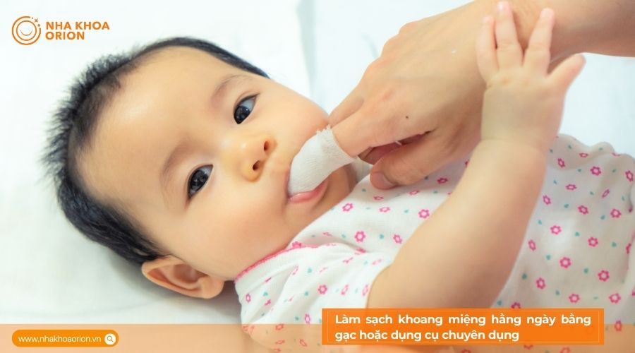 L&agrave;m sạch khoang miệng bằng gạc hoặc dụng cụ chuy&ecirc;n dụng