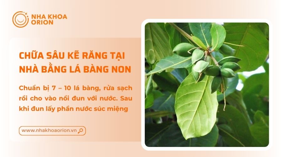 L&aacute; b&agrave;ng non gi&uacute;p giảm đau nhức khi bị s&acirc;u kẽ răng