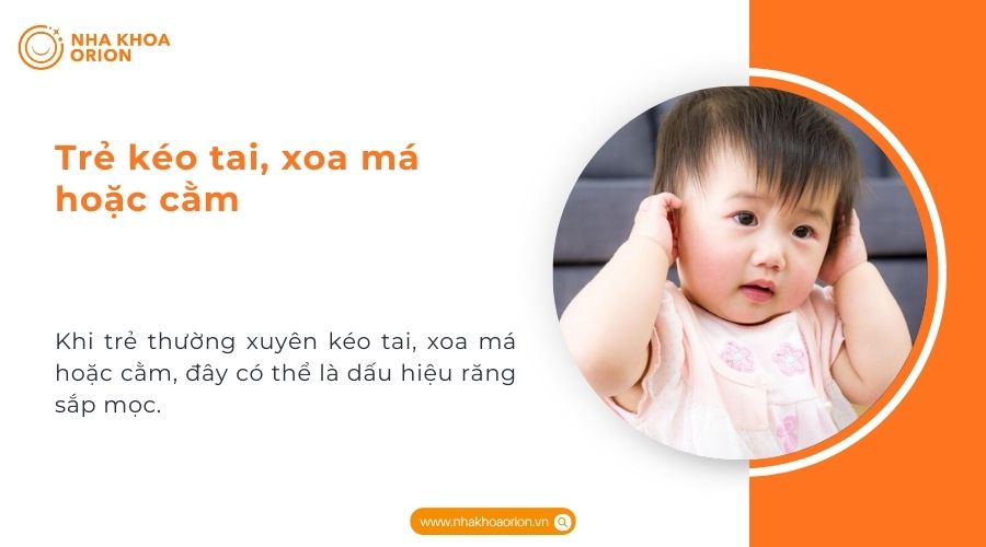 Trẻ k&eacute;o tai, xoa m&aacute; hoặc cằm