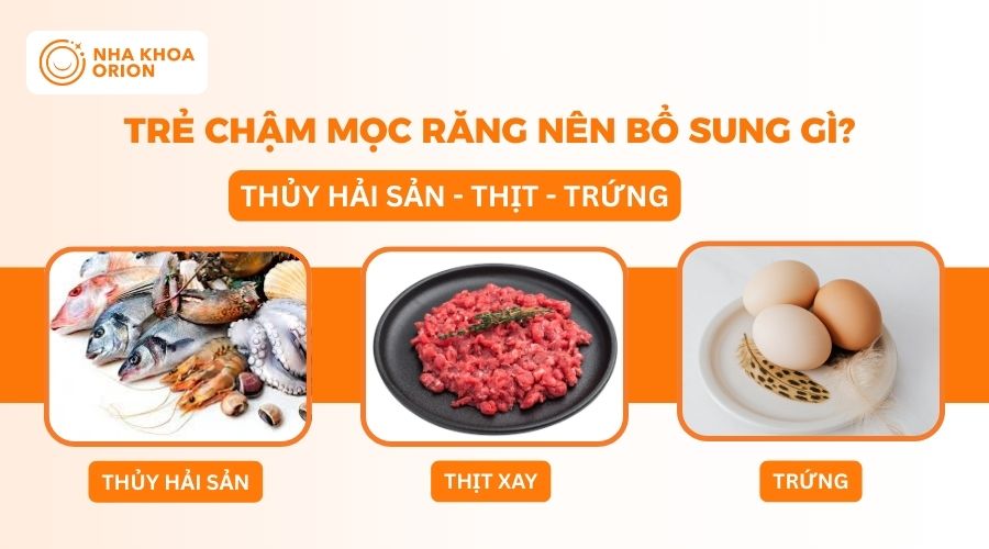Trẻ chậm mọc răng n&ecirc;n bổ sung canxi, protein từ hải sản, thịt v&agrave; trứng