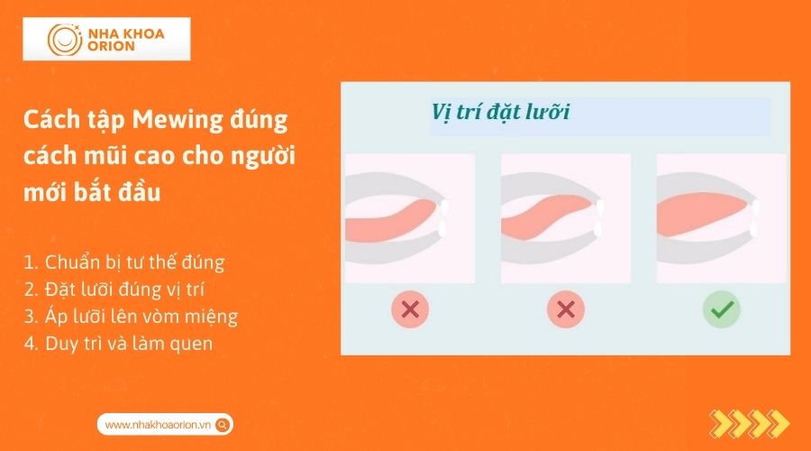 Cách tập Mewing đúng cách mũi cao cho người mới bắt đầu