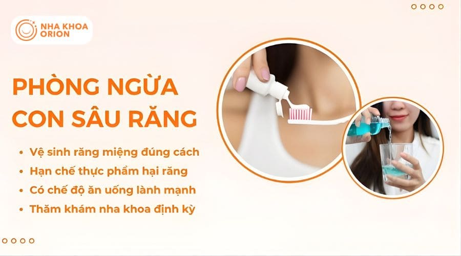 C&aacute;c c&aacute;ch ph&ograve;ng ngừa con s&acirc;u răng cực hiệu quả