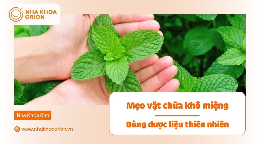 Kết hợp d&ugrave;ng c&aacute;c dược liệu thi&ecirc;n nhi&ecirc;n trị kh&ocirc; miệng hiệu quả