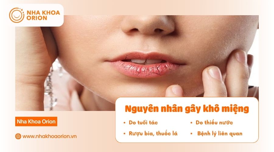 Đa phần nguy&ecirc;n nh&acirc;n g&acirc;y kh&ocirc; miệng đến từ th&oacute;i quen sinh hoạt kh&ocirc;ng l&agrave;nh mạnh