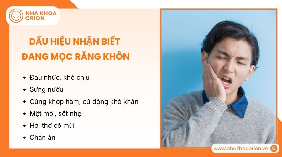 Răng khôn thường gây đau và sưng nướu