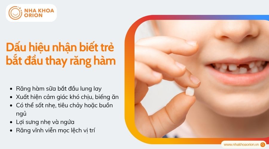 Dấu hiệu nhận biết trẻ bắt đầu thay răng h&agrave;m