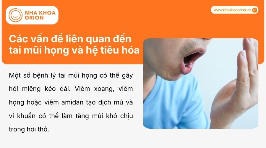 Vi&ecirc;m xoang, tr&agrave;o ngược dạ d&agrave;y c&oacute; thể g&acirc;y m&ugrave;i hơi thở