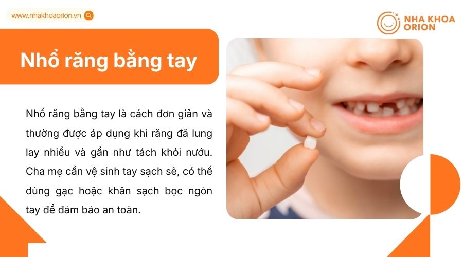 Nhổ răng bằng tay chỉ n&ecirc;n thực hiện khi răng đ&atilde; lung lay nhiều, gần rụng