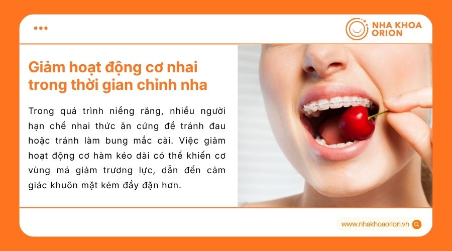 Giảm hoạt động cơ nhai khi niềng răng c&oacute; thể l&agrave;m m&aacute; k&eacute;m đầy đặn tạm thời