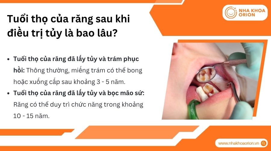 Tuổi thọ răng sau điều trị tủy phụ thuộc v&agrave;o phục hồi v&agrave; chăm s&oacute;c sau điều trị
