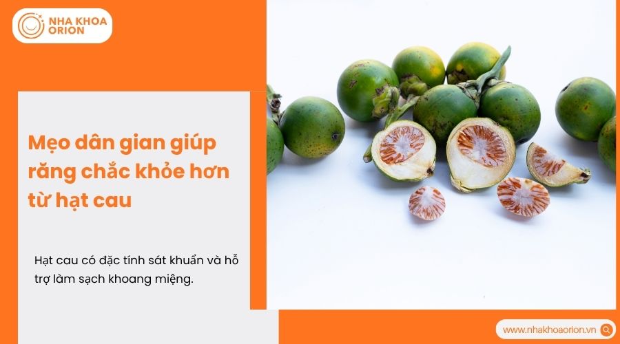 Mẹo d&acirc;n gian gi&uacute;p răng chắc khỏe hơn từ hạt cau ng&acirc;m rượu