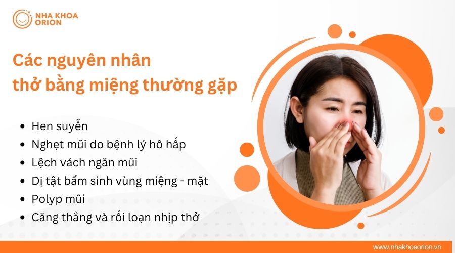 C&aacute;c nguy&ecirc;n nh&acirc;n thở bằng miệng thường gặp&nbsp;