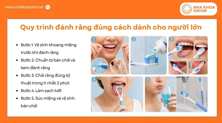 Người lớn cần thực hiện đ&uacute;ng quy tr&igrave;nh đ&aacute;nh răng để bảo vệ răng