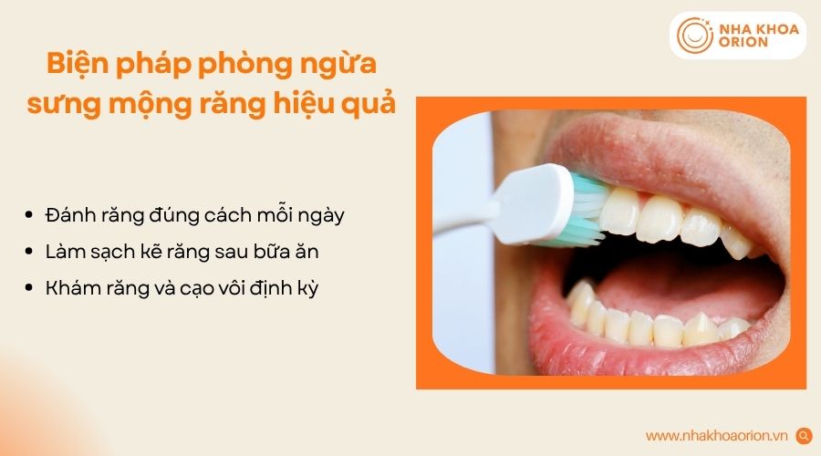 Nên bổ sung thực phẩm giàu chất xơ, lợi khuẩn, vitamin C và canxi khi bị sưng mộng răng