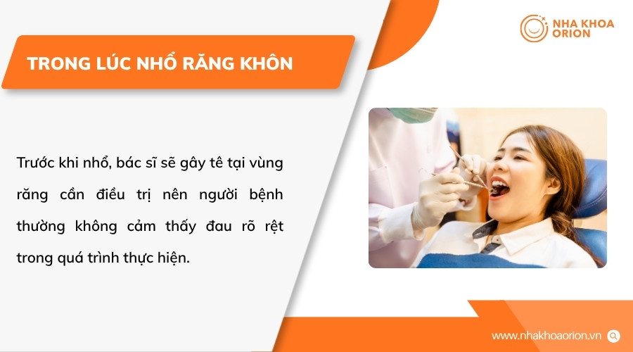 Trong l&uacute;c nhổ răng kh&ocirc;n, cảm gi&aacute;c đau thường kh&ocirc;ng r&otilde; rệt nhờ t&aacute;c dụng của thuốc t&ecirc;