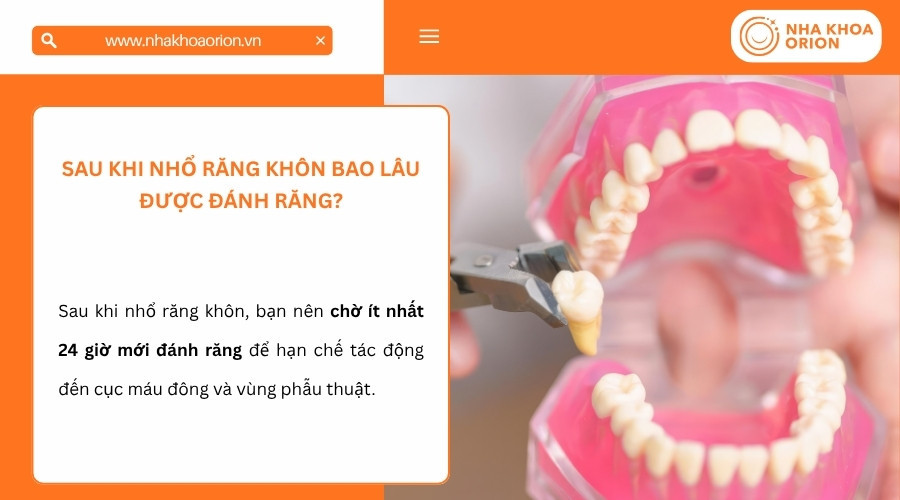 Thời điểm đ&aacute;nh răng cần ph&ugrave; hợp để kh&ocirc;ng ảnh hưởng đến cục m&aacute;u đ&ocirc;ng