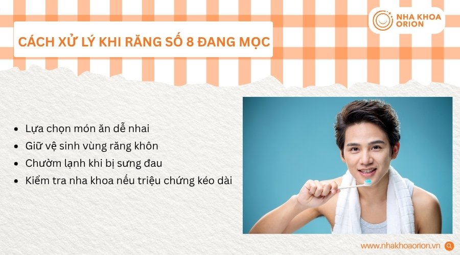 Chăm s&oacute;c đ&uacute;ng c&aacute;ch gi&uacute;p giảm đau v&agrave; hạn chế kh&oacute; chịu khi răng số 8 mọc