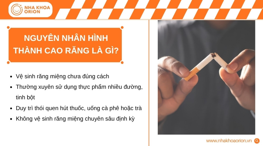 Cao răng xuất hiện từ sự tích tụ mảng bám và thói quen vệ sinh, ăn uống hằng ngày