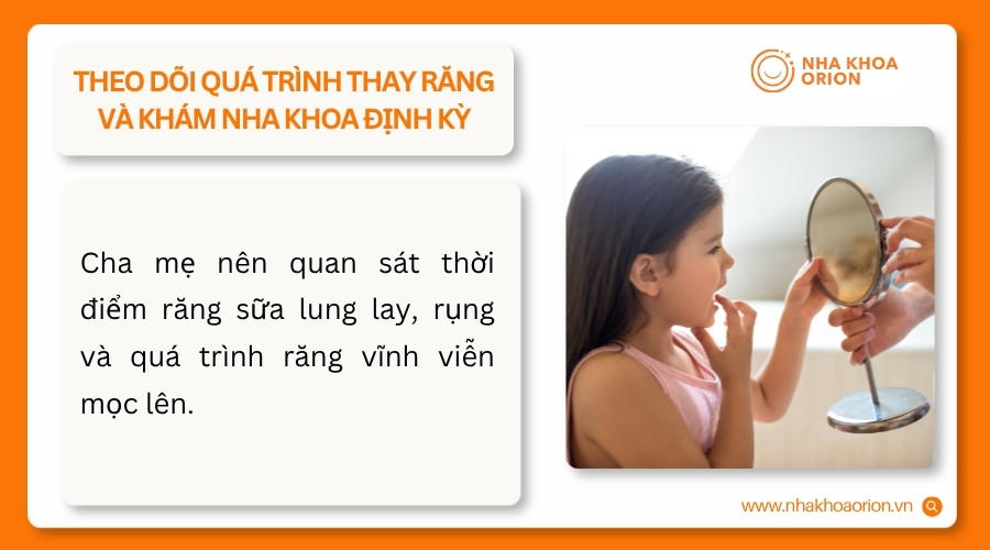 Cha mẹ n&ecirc;n theo d&otilde;i lịch thay răng v&agrave; cho trẻ kh&aacute;m nha khoa định kỳ