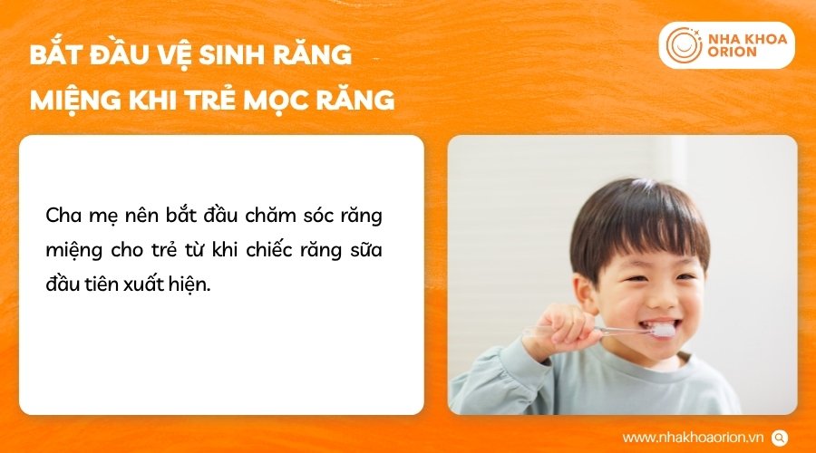 Cha mẹ nên chăm sóc răng ngay khi trẻ bắt đầu mọc răng